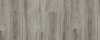 Blackjack Oak 22937