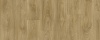 Laurel Oak 51262