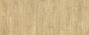 Laurel Oak 51332