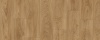 Laurel Oak 51822	