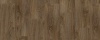 Laurel Oak 51852