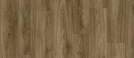 Sierra Oak 58876