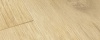 BAGP40018 Eiken Drijfhout Beige