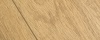 Select Eik Natuur
