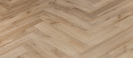 TFD Ossis Visgraat - Visgraat Ossis 1