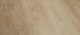 Pro 8