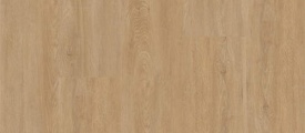 Xstralong 18050 van Therdex