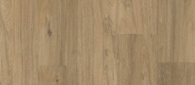 Chevron XL 12044