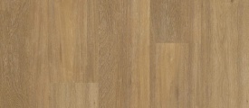 Chevron XL 12043