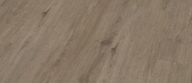 C6504