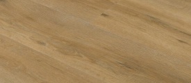 C 6870