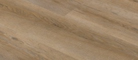 C 6850