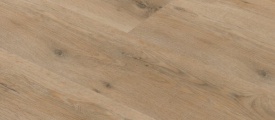 C 6830